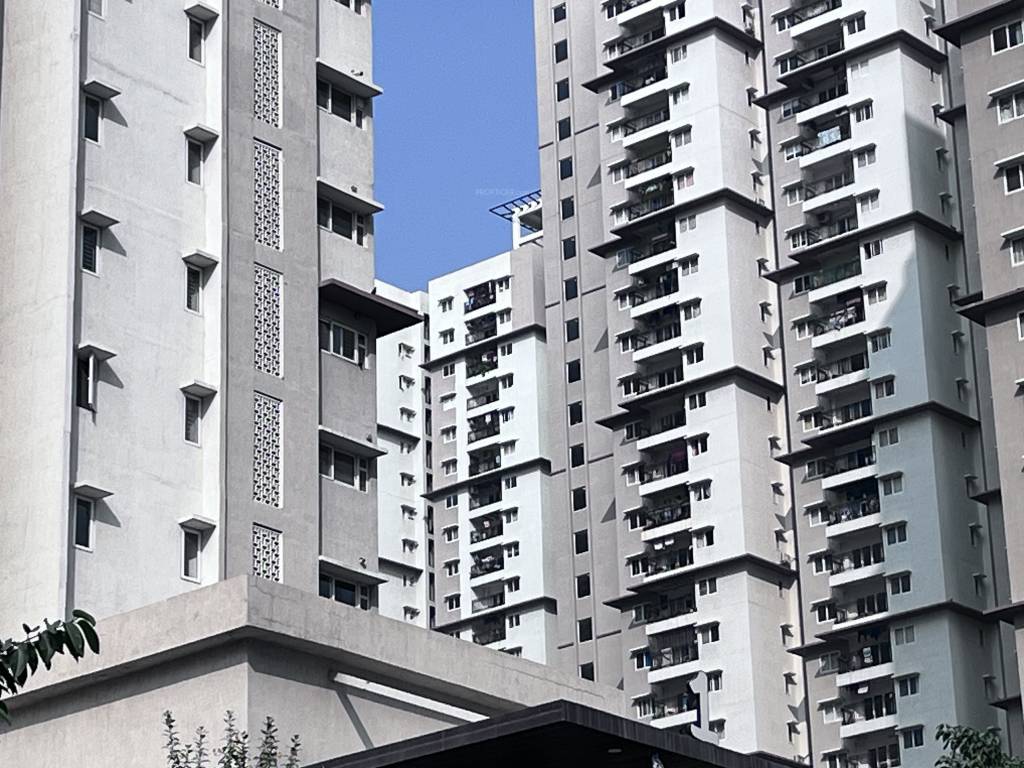 Elevation dummy Prestige High Fields Ph II