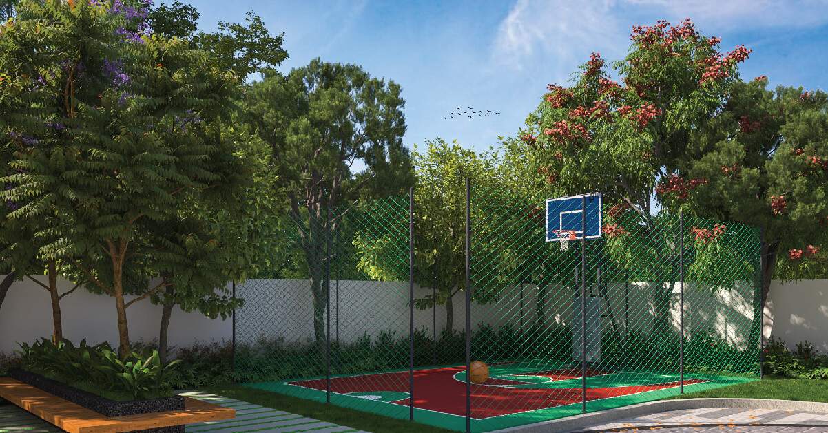 metropolis Basketball Court