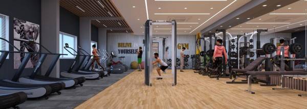  metropolis Gymnasium