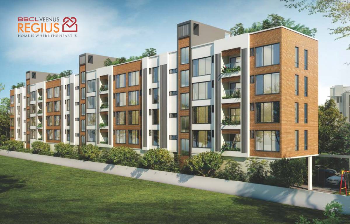  veenus regius Elevation