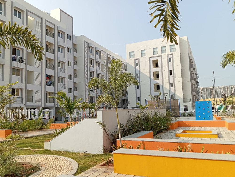  house of champions Elevation