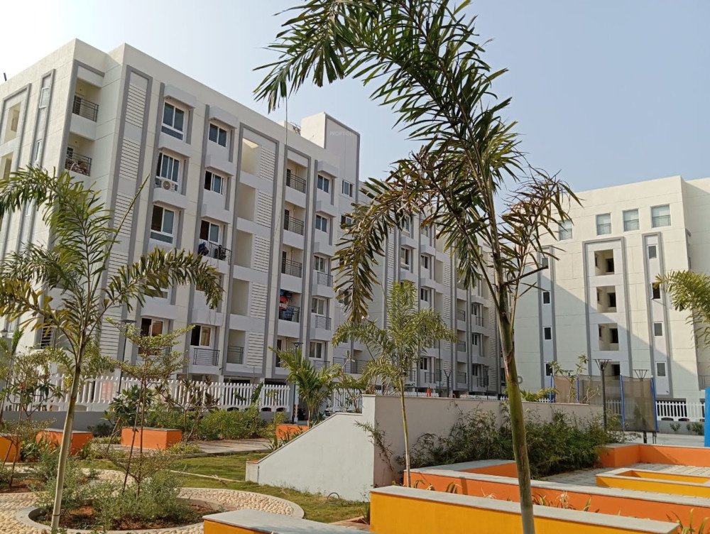  house of champions Elevation