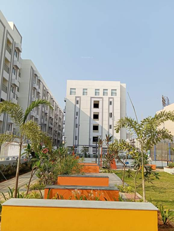  house of champions Others