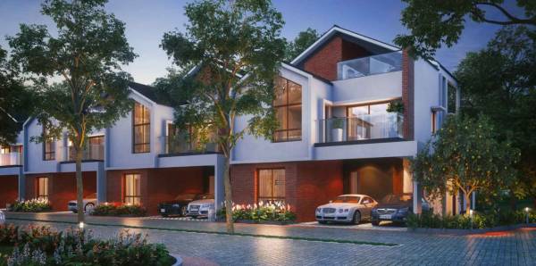  symphony-of-orchards Elevation