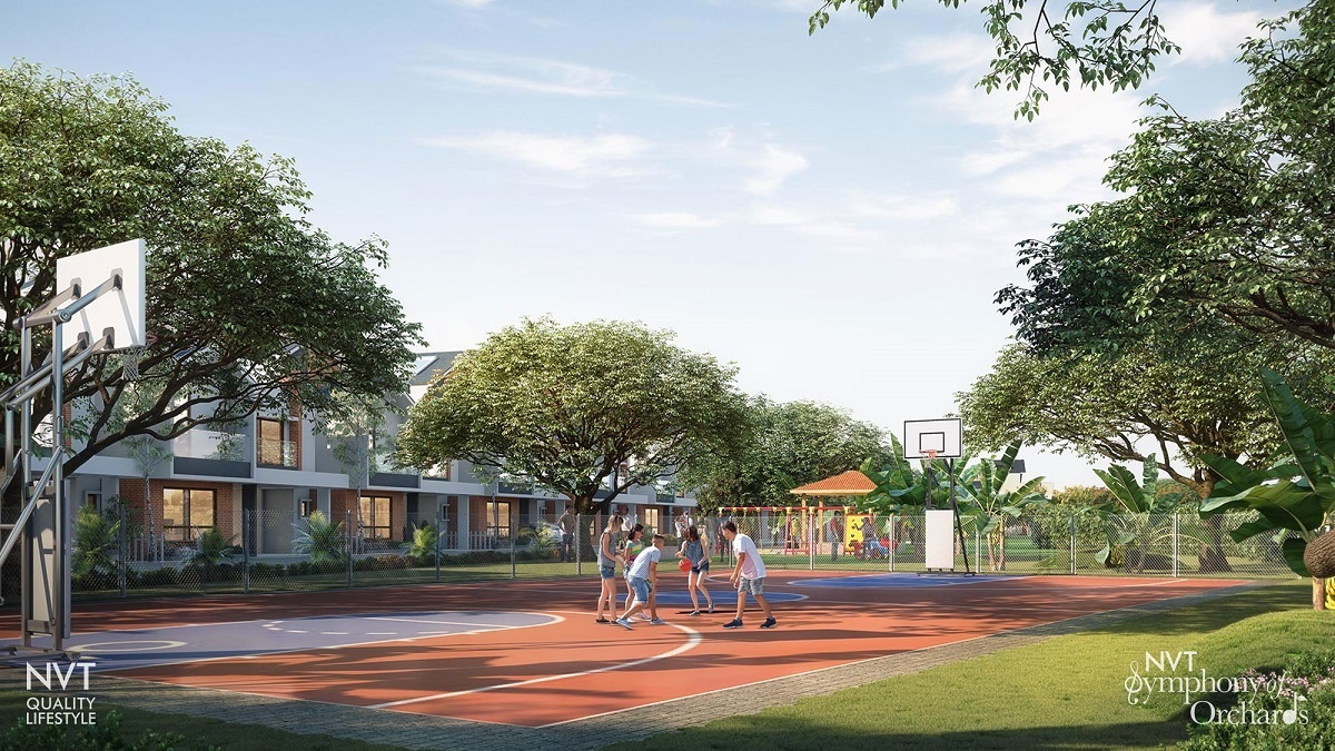 NVT Symphony Of Orchards