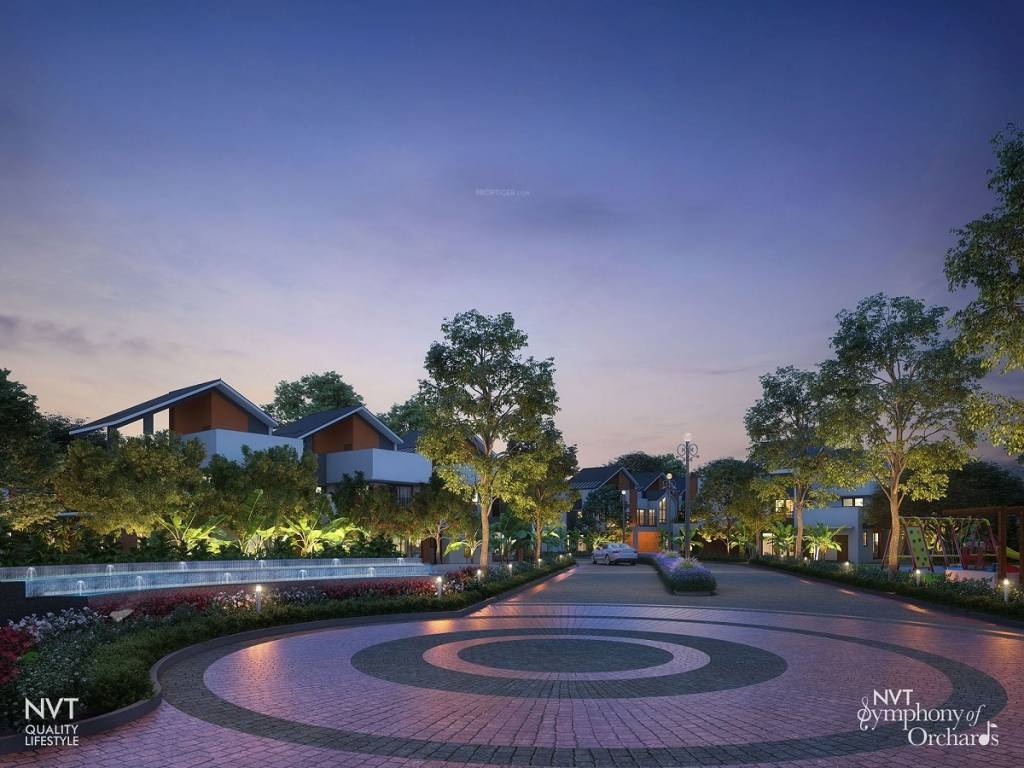 NVT Symphony Of Orchards