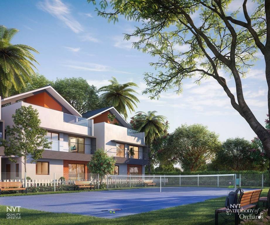 NVT Symphony Of Orchards