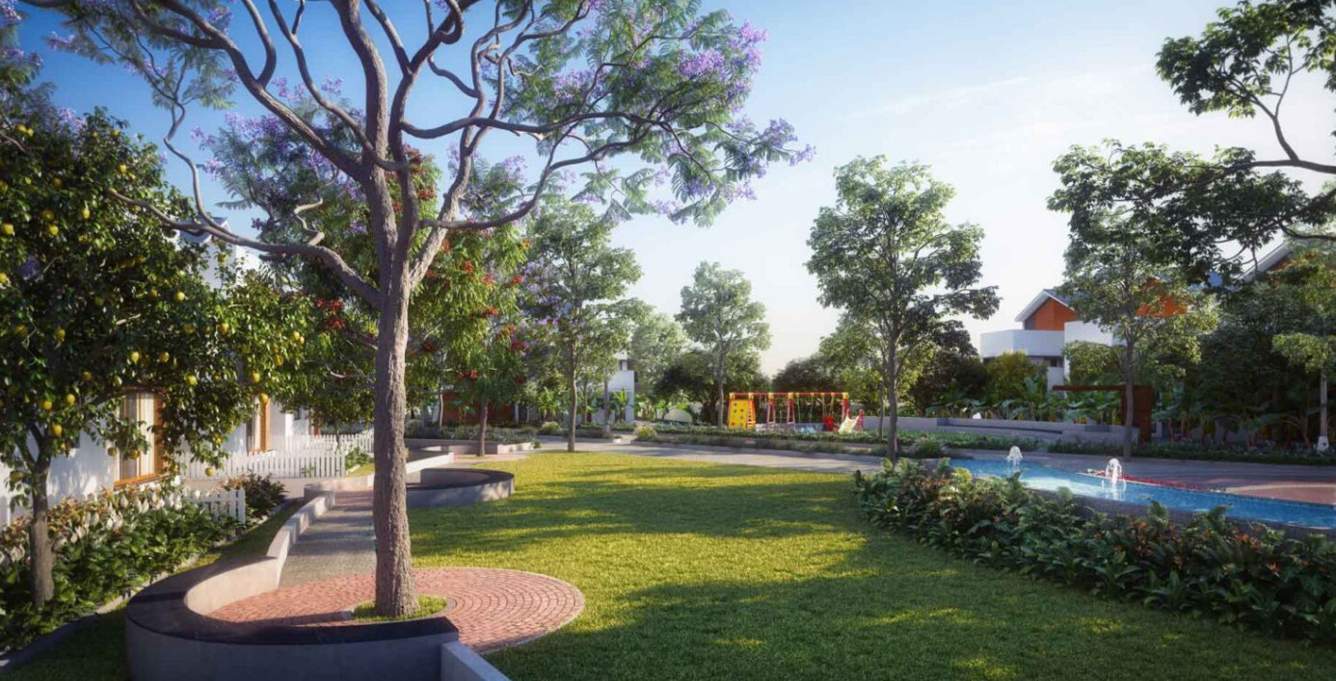 symphony of orchards Landscape Garden and Tree Planting