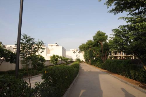  grand-homes-villas Landscape Garden and Tree Planting