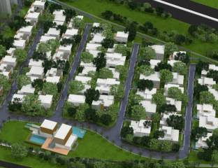 Project Image Project Image