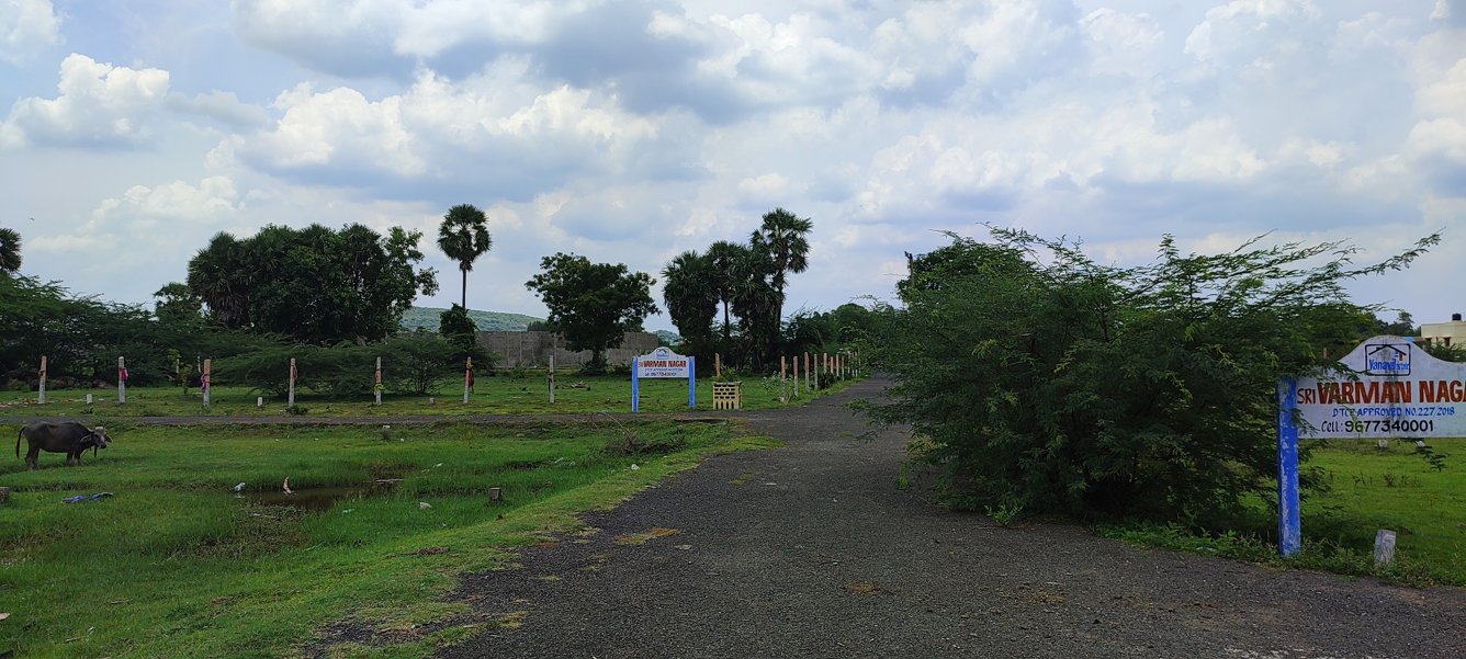  sri varaman nagar Internal Roads
