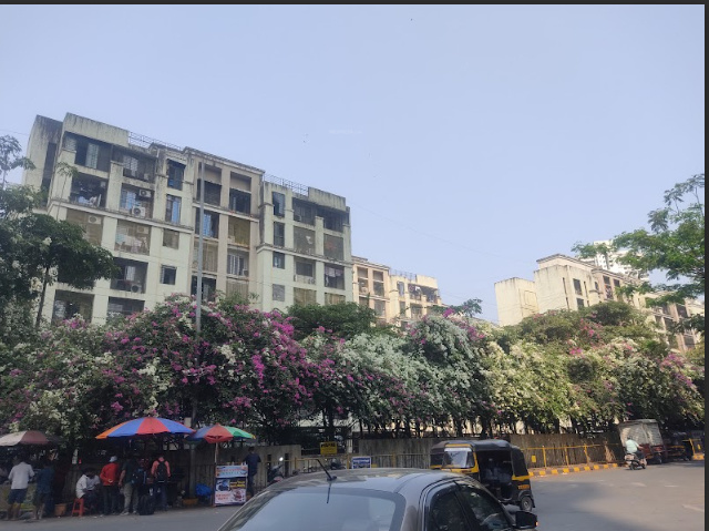  reflections i Elevation