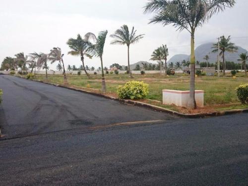 oxygen-county-phase-3 Plot