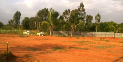  metro-city Elevation