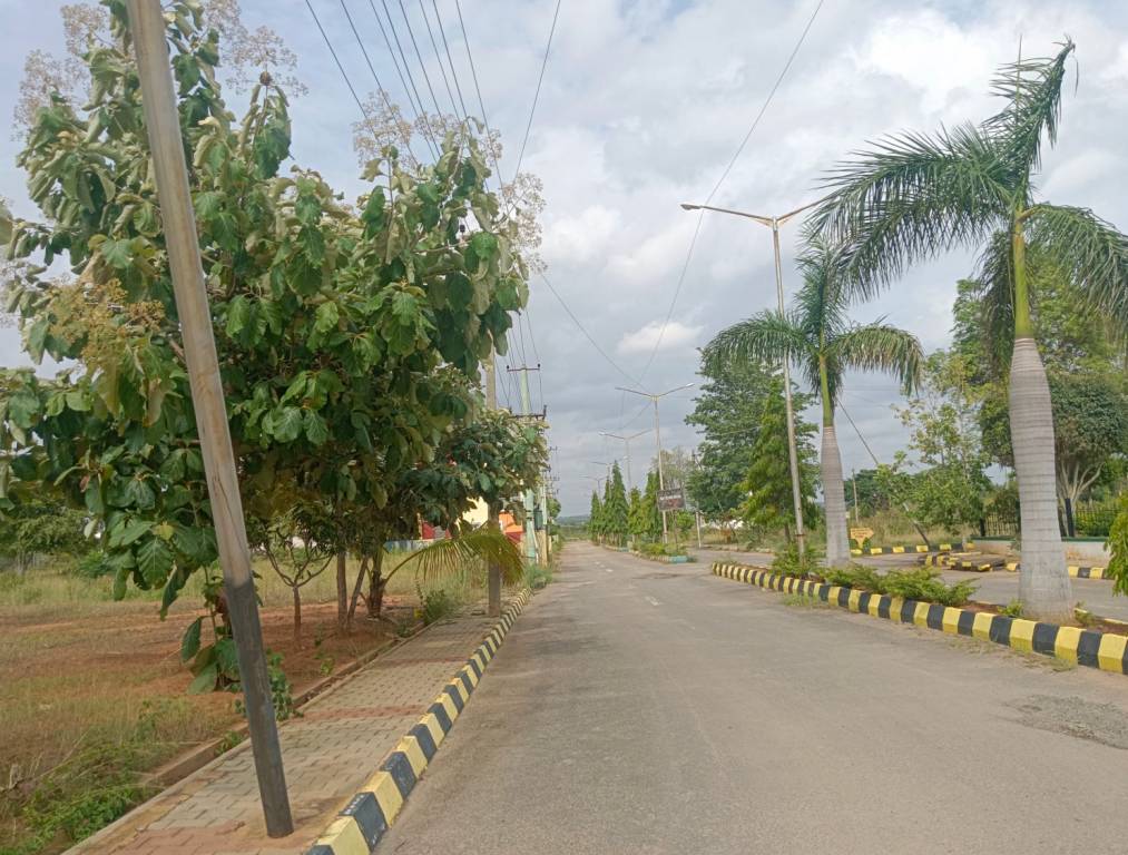  metro city Internal Roads & Footpaths