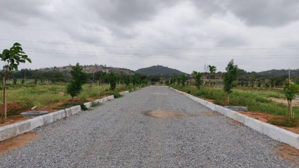  divine-meadoes-sector-a Elevation