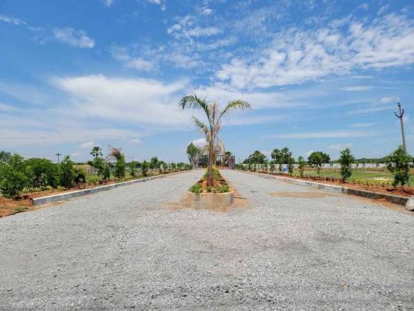  divine-meadoes-sector-a Internal Roads