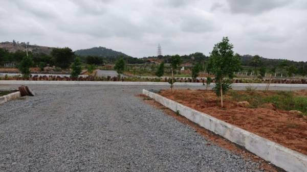  divine-meadoes-sector-a Plot