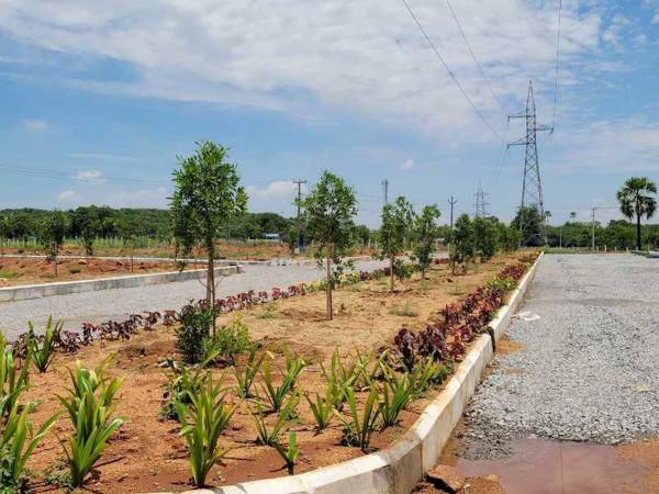  divine-meadoes-sector-a Plot