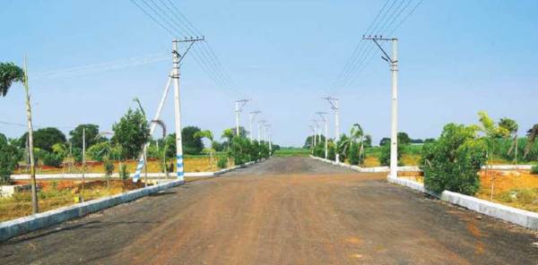  signature-1 Elevation