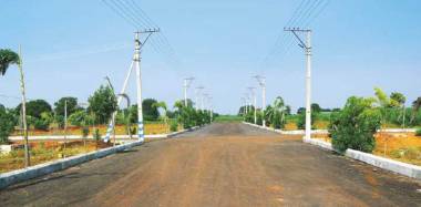 Elevation signature-1 Elevation