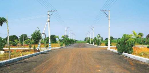 signature-1 Elevation Elevation