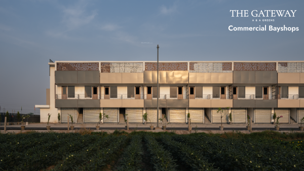 Plot the-gateway Plot