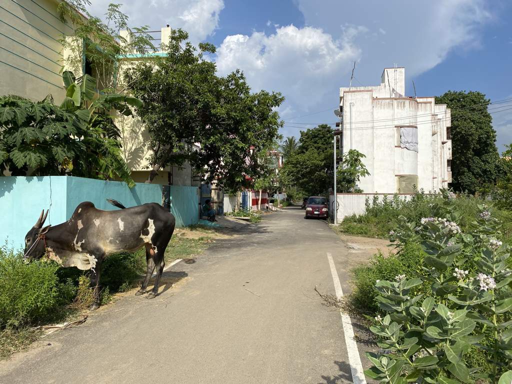  n s avenue Internal Roads