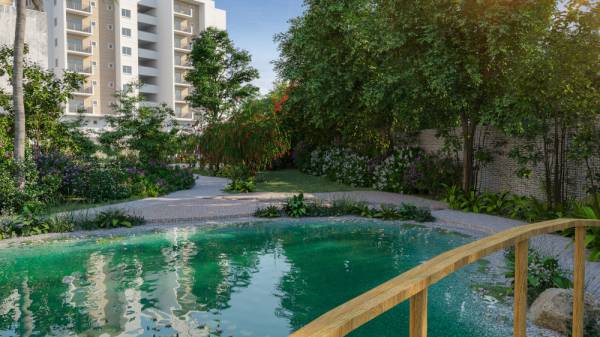  the-bodhivriksha Others