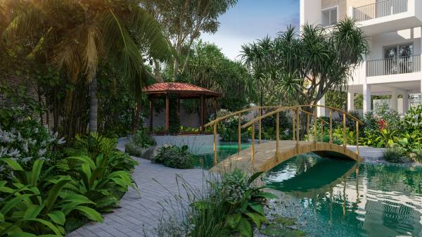  the-bodhivriksha Others