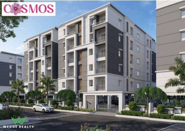  infras-cosmos Elevation