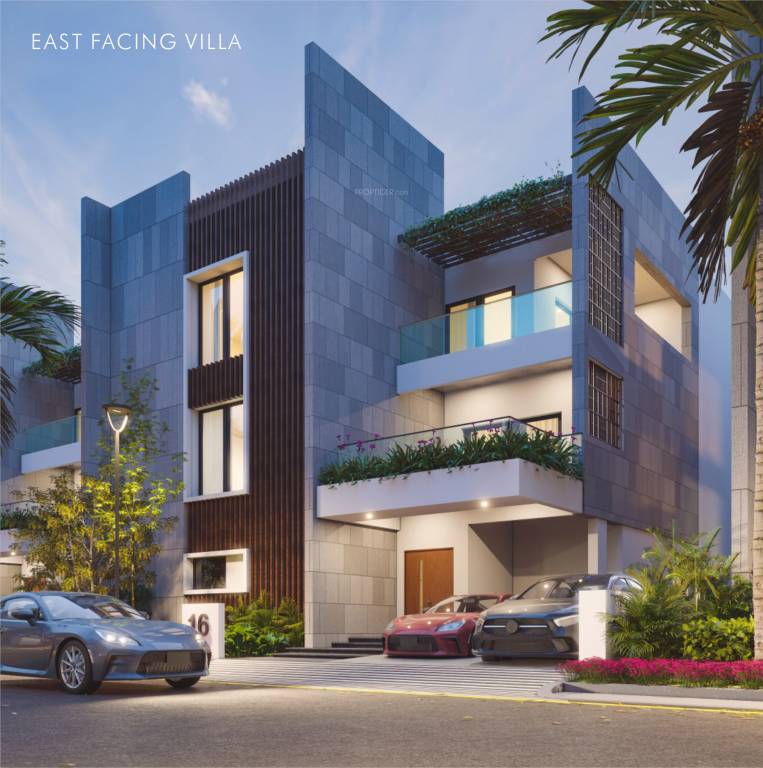  white fields Elevation