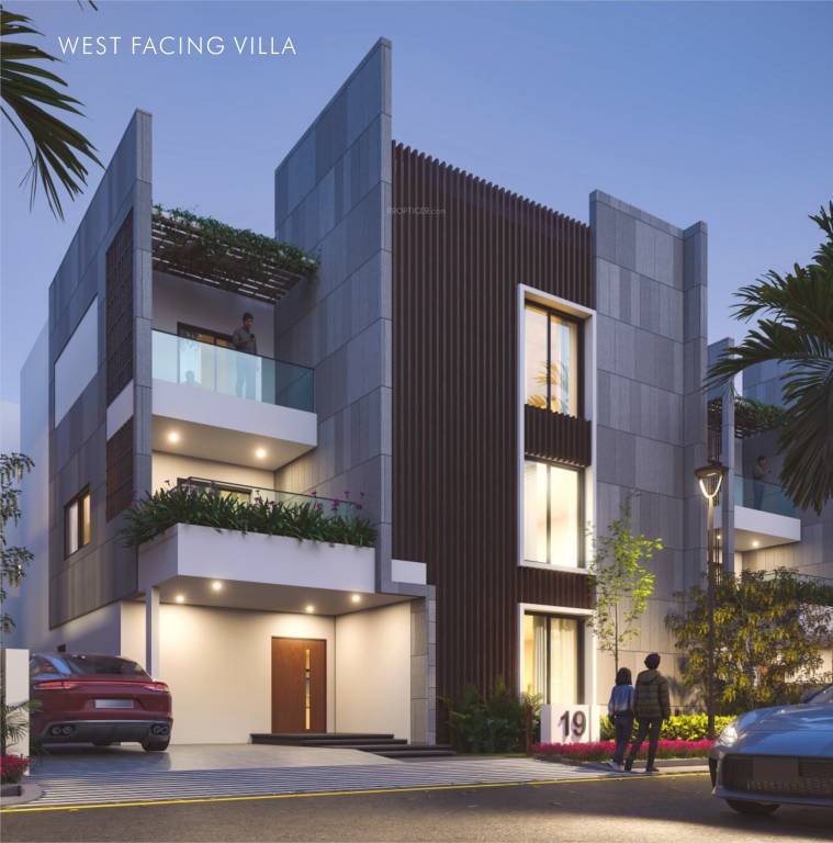  white fields Elevation