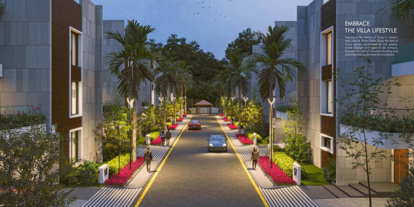  white fields Elevation