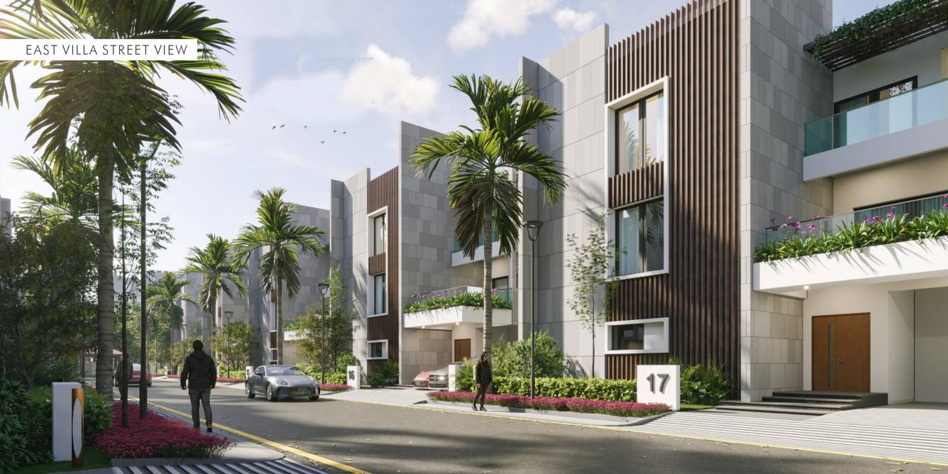  white fields Elevation