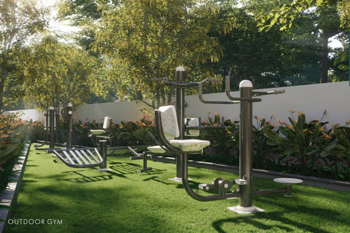  white fields Open Gym