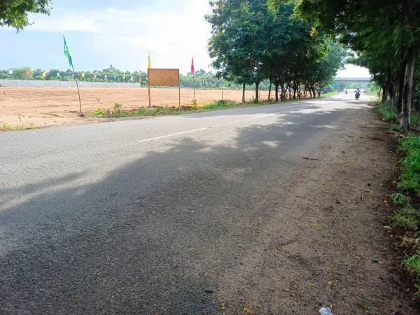  meadows Internal Roads