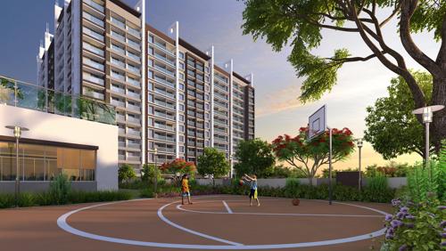  regalia Basketball Court