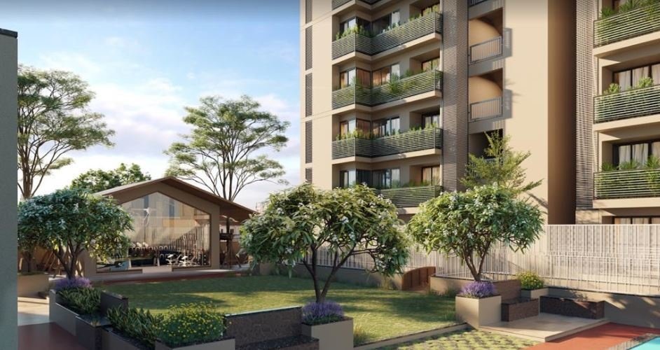  elite Landscape Garden and Tree Planting