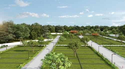  amantara-living Landscape Garden and Tree Planting