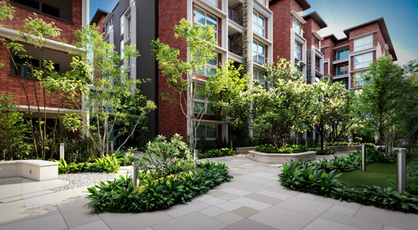  arbor Landscape Garden and Tree Planting