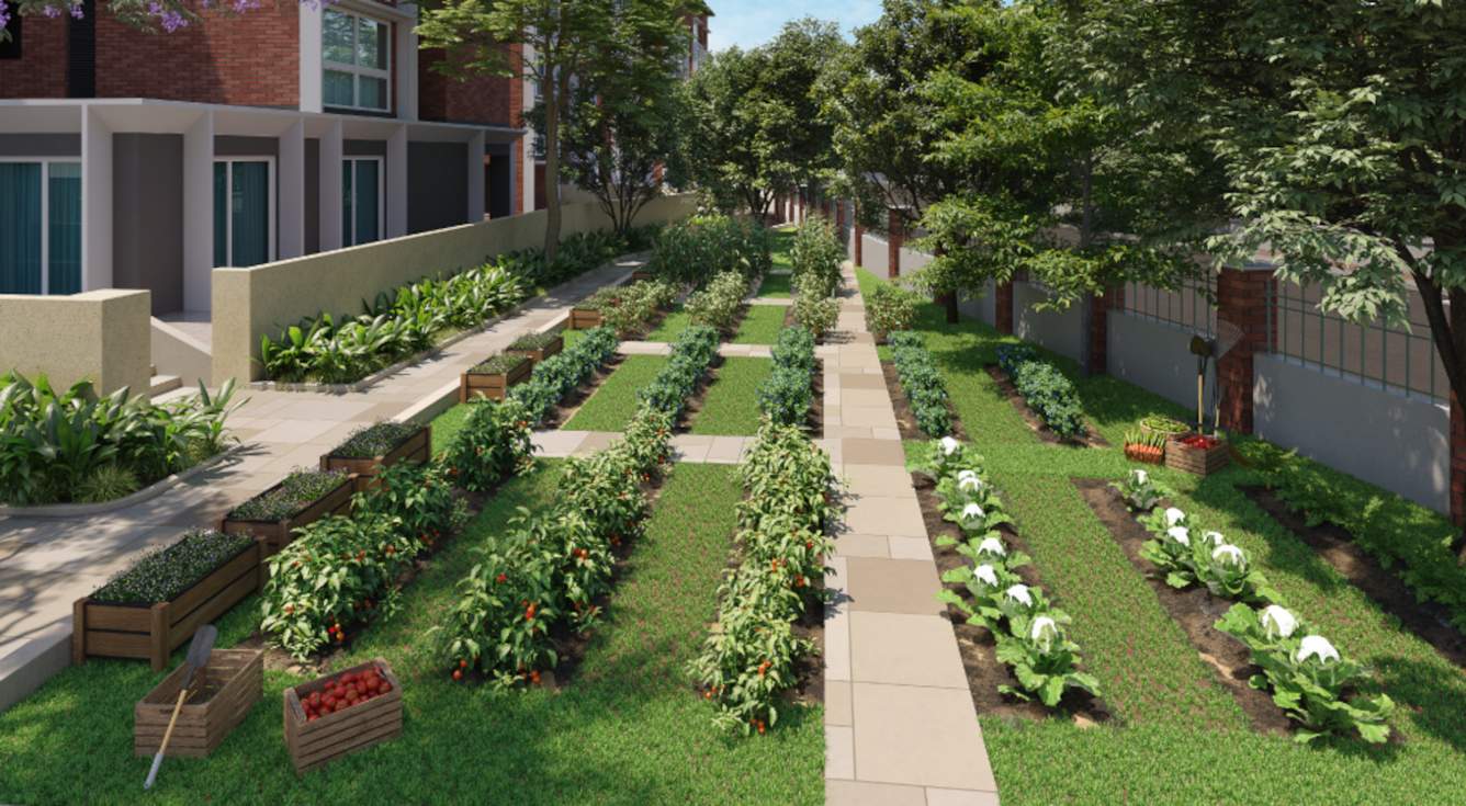  arbor Landscape Garden and Tree Planting