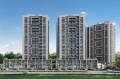 Siddhi Developers Aarohi Vivianna