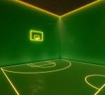  senor Basketball Court
