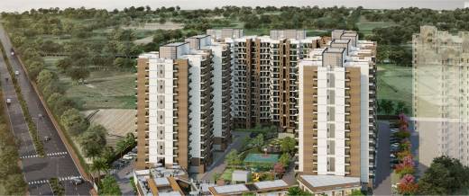 habitat-prime Elevation Elevation