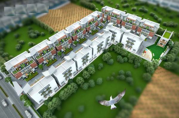 Elevation antica-greens Elevation