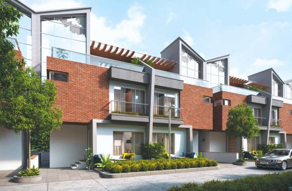 Elevation antica-greens Elevation