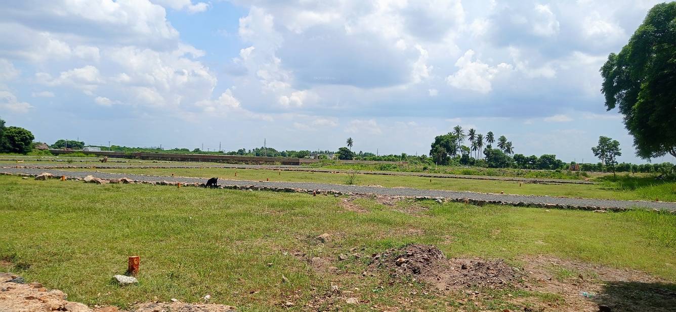 Elevation ayalcheri Elevation