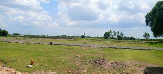 Project Image Project Image