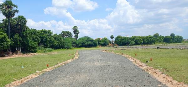  ayalcheri Internal Roads